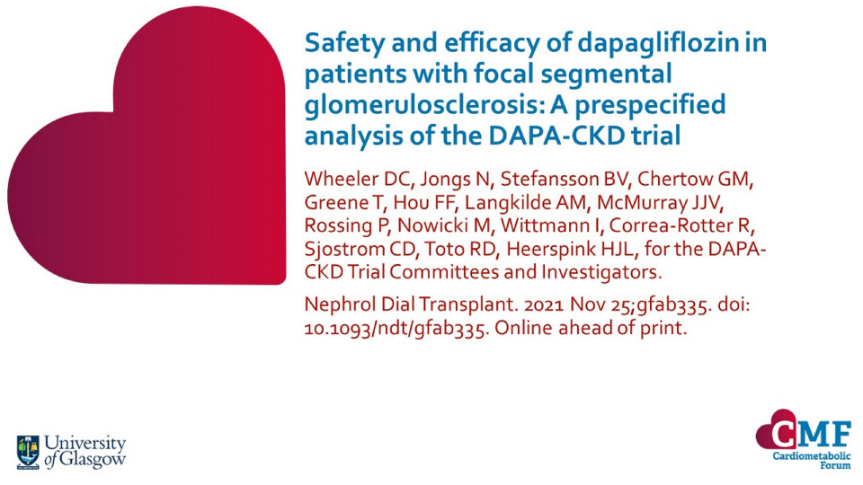 Publication thumbnail: Safety and efficacy of dapagliflozin in patients with focal segmental glomerulosclerosis: A prespecified analysis of the DAPA-CKD trial