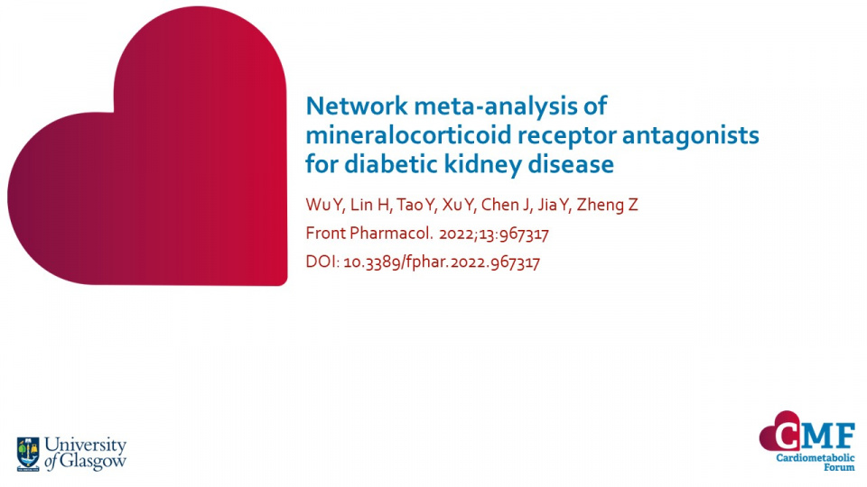 Publication thumbnail: Network meta-analysis of mineralocorticoid receptor antagonists for diabetic kidney disease