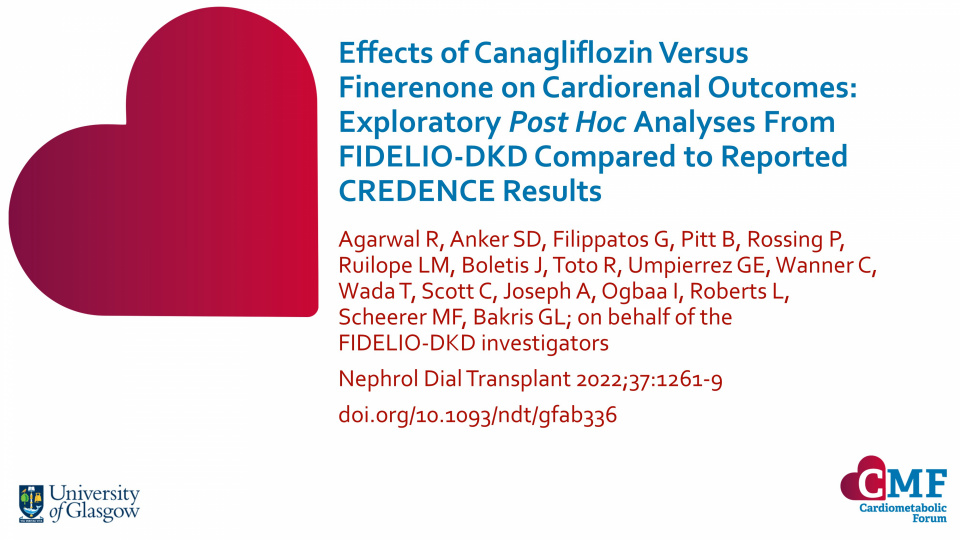 Publication thumbnail: Effects of Canagliflozin Versus Finerenone on Cardiorenal Outcomes: Exploratory Post Hoc Analyses From FIDELIO-DKD Compared to Reported CREDENCE Results