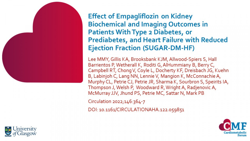 Publication thumbnail: Effect of Empagliflozin on Kidney Biochemical and Imaging Outcomes in Patients With Type 2 Diabetes, or Prediabetes, and Heart Failure with Reduced Ejection Fraction (SUGAR-DM-HF)