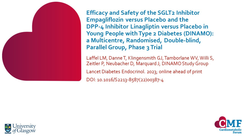 Publication thumbnail: Efficacy and Safety of the SGLT2 Inhibitor Empagliflozin versus Placebo and the DPP-4 Inhibitor Linagliptin versus Placebo in Young People with Type 2 Diabetes (DINAMO): a Multicentre, Randomised, Double-blind, Parallel Group, Phase 3 Trial