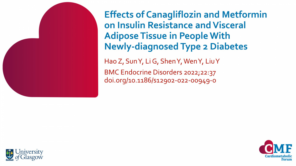 Publication thumbnail: Effects of Canagliflozin and Metformin on Insulin Resistance and Visceral Adipose Tissue in People With Newly-diagnosed Type 2 Diabetes