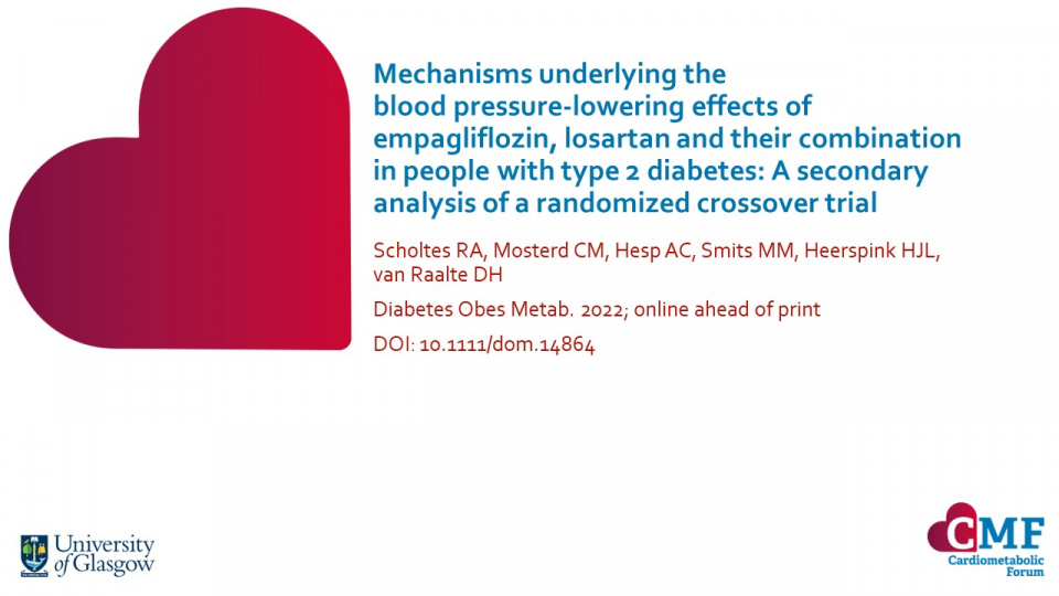 Publication thumbnail: Mechanisms underlying the blood pressure-lowering effects of empagliflozin, losartan and their combination in people with type 2 diabetes: A secondary analysis of a randomized crossover trial