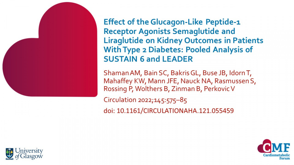 Publication thumbnail: Effect of the Glucagon-Like Peptide-1 Receptor Agonists Semaglutide and Liraglutide on Kidney Outcomes in Patients With Type 2 Diabetes: Pooled Analysis of SUSTAIN 6 and LEADER